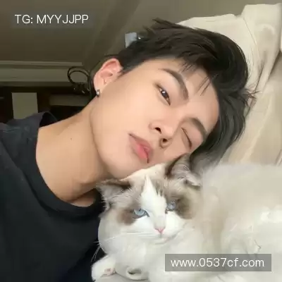 史怀玄